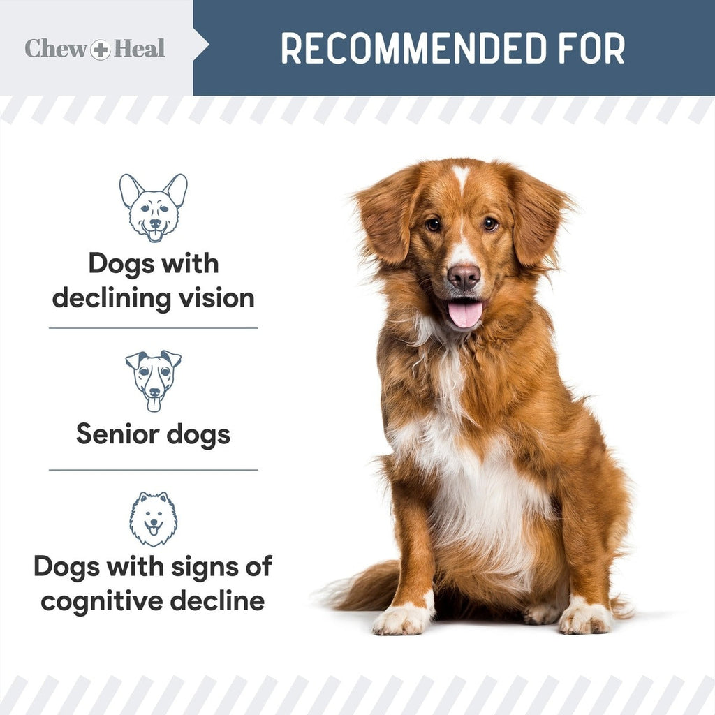 Senior Vision + Cognition Soft Chews Supplement for Senior Dogs