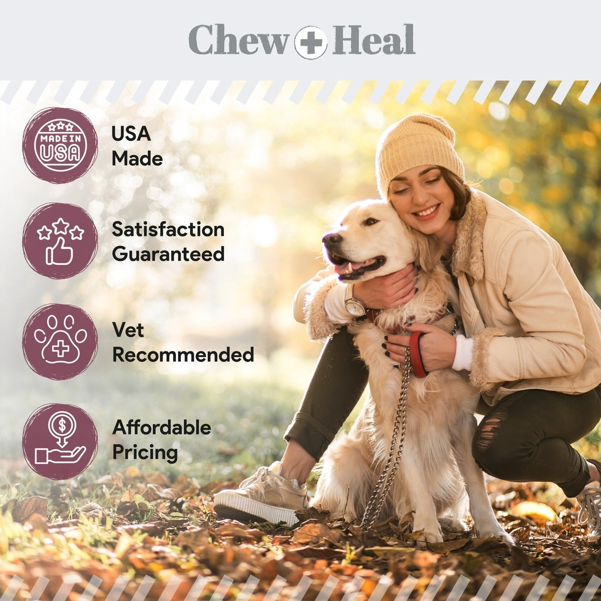 Senior 12-In-1 Advanced Multivitamin Soft Chews Supplement for Senior Dogs
