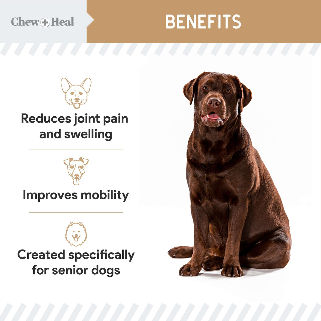 Hip & Joint Mobility Peanut Butter Flavored Soft Chew Senior Dog Supplement