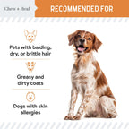Mini Wild-Caught Omega-3 Softgels Skin & Coat Supplement for Puppies
