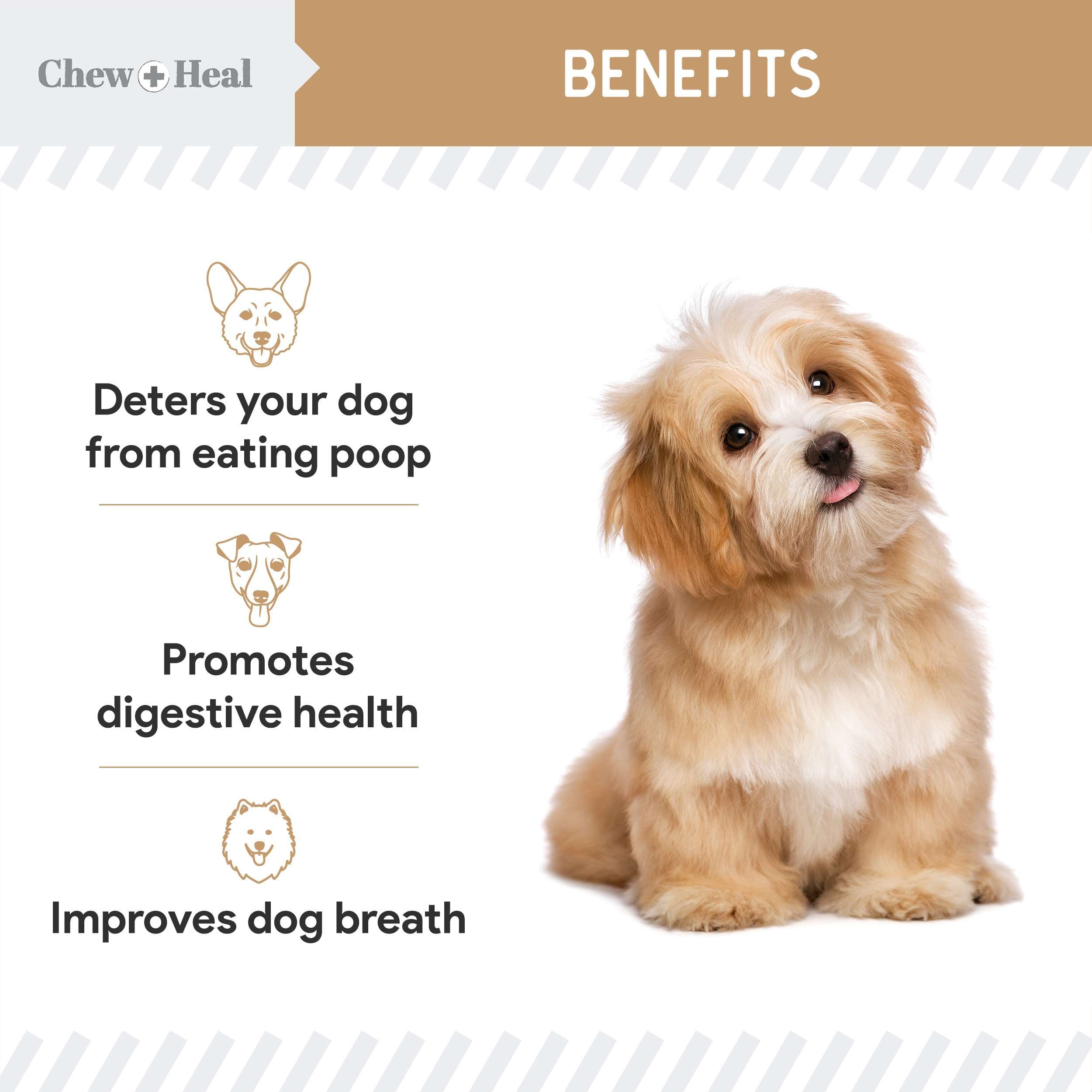 Stop The Poo Peanut Butter Flavored Soft Chew Coprophagia & Digestive Dog Supplement