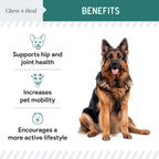 Green Lipped Mussel Powder Joint & Ligament Health Supplement for Dogs & Cats