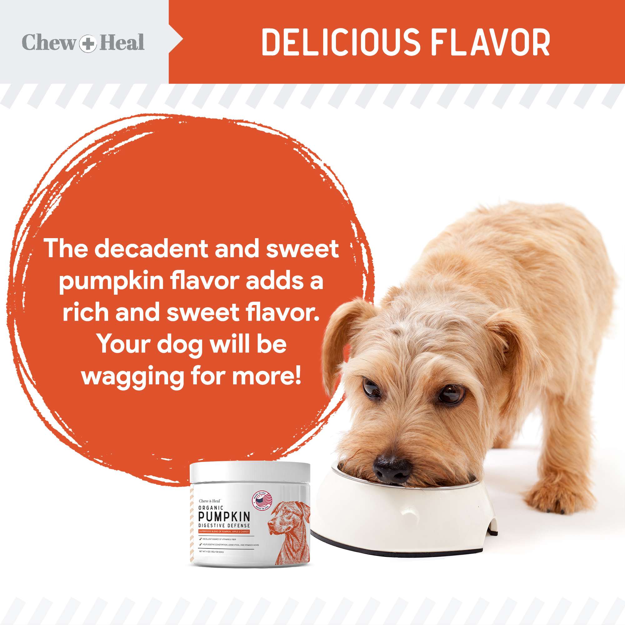 Organic Pumpkin Digestive Defense Superfood Blend Powder Digestive Aid Supplement for Dogs
