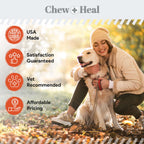 Organic Pumpkin Digestive Defense Superfood Blend Powder Digestive Aid Supplement for Dogs