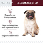 Roasted Lamb Stop The Poo Soft Chew Coprophagia & Digestive Supplement for Dogs