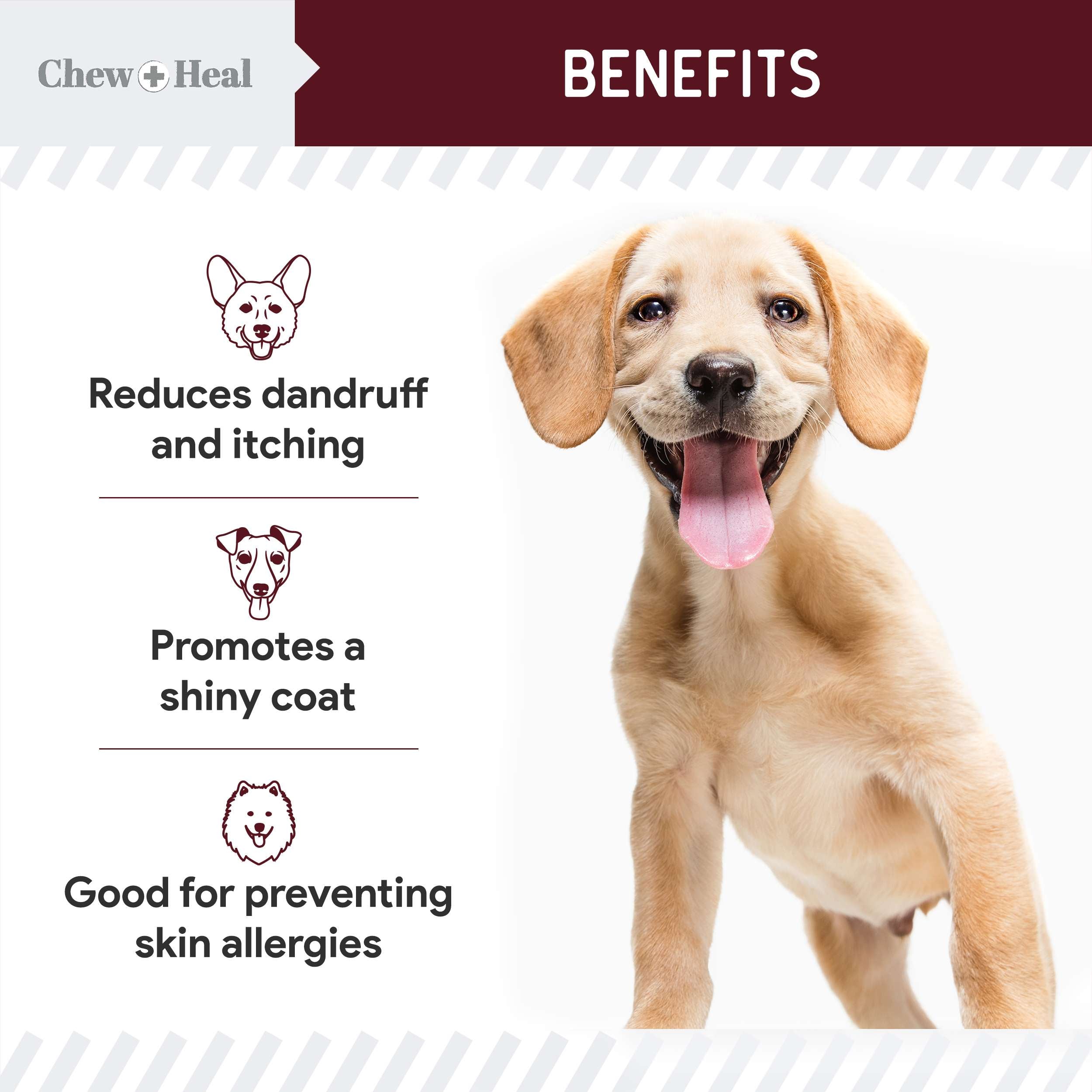 Savory Lamb Omega Skin & Coat Supplement for Dogs