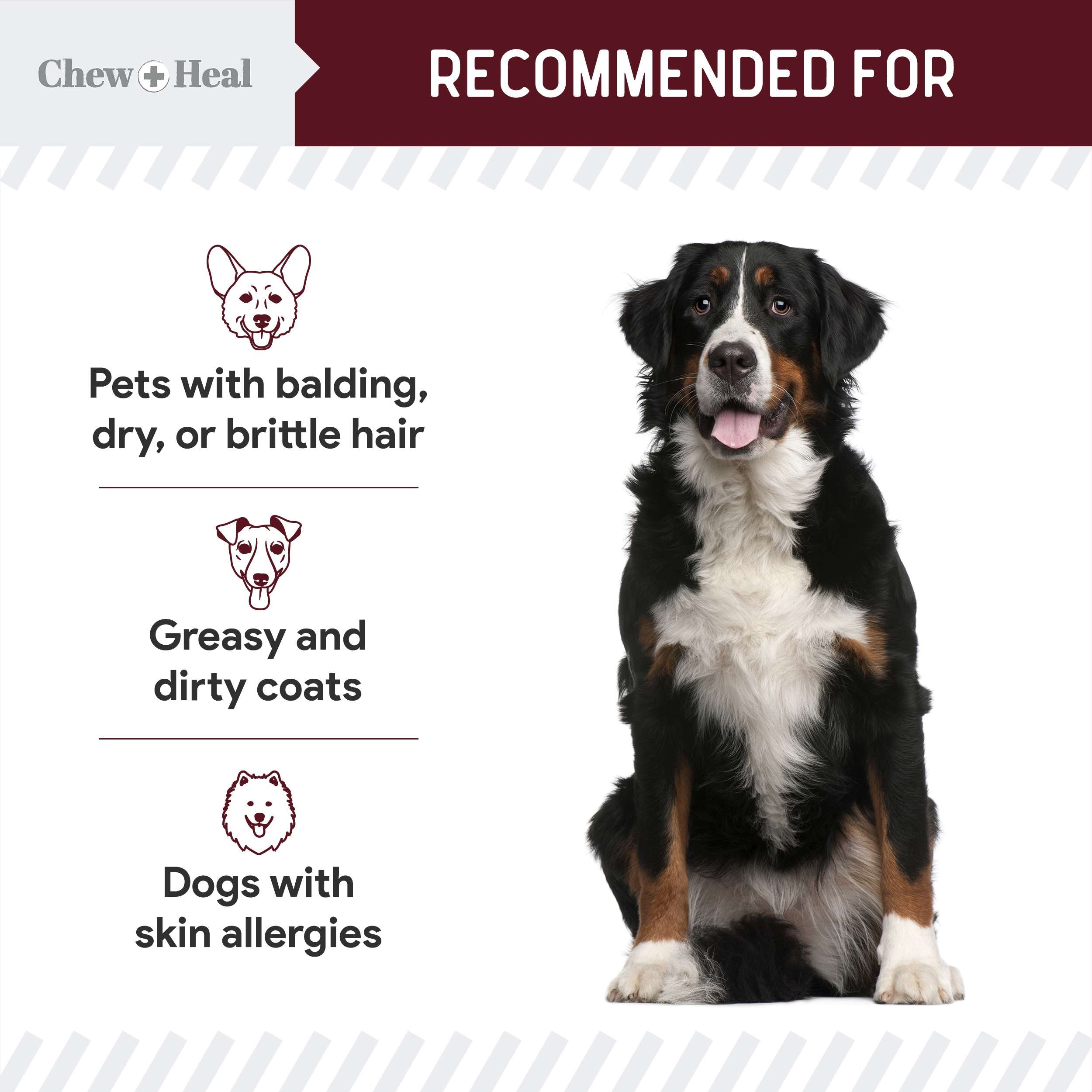 Savory Lamb Omega Skin & Coat Supplement for Dogs
