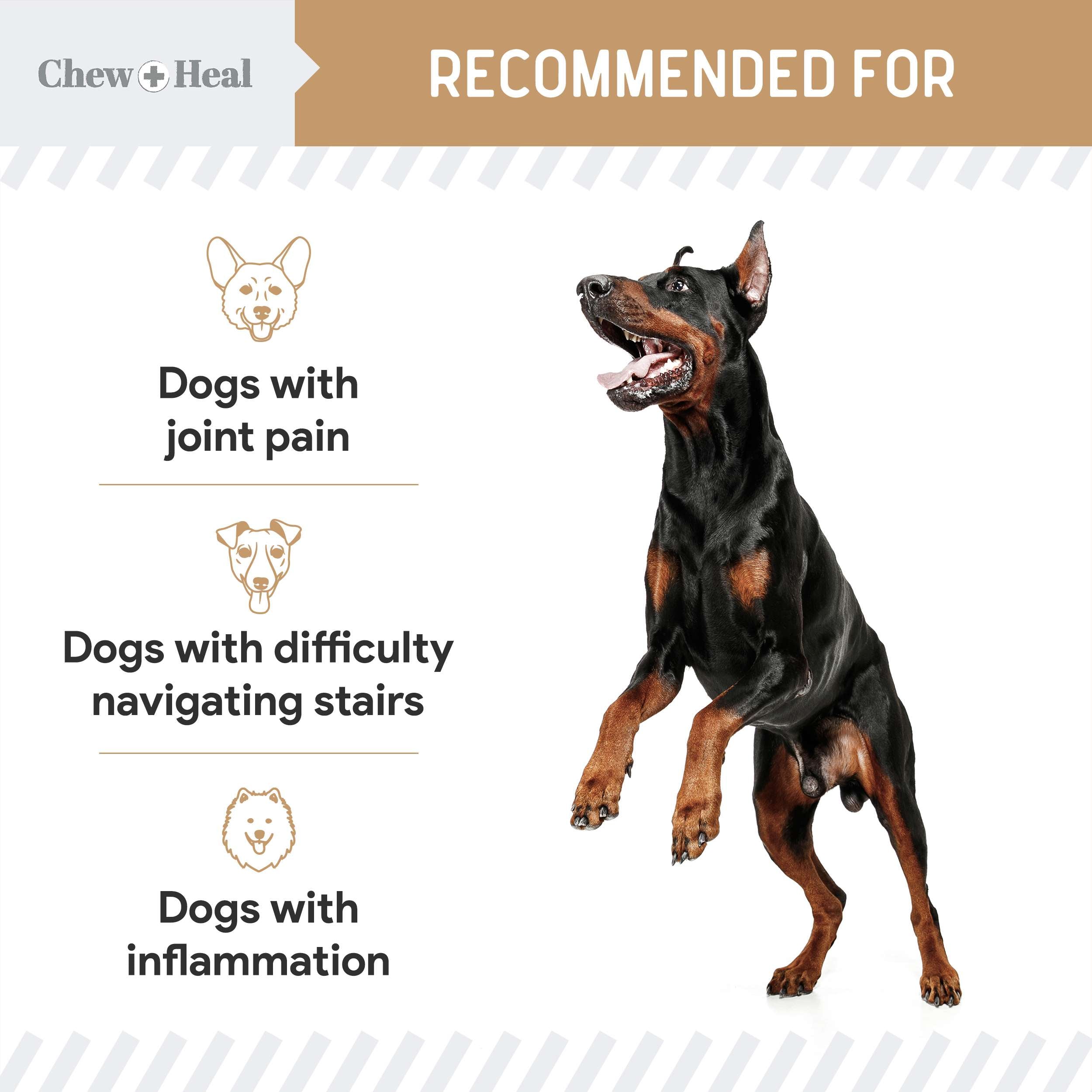 Chew + Heal Glucosamine Hip + Joint Peanut Butter Flavored Soft Chew Joint Supplement for Dogs, 90 count