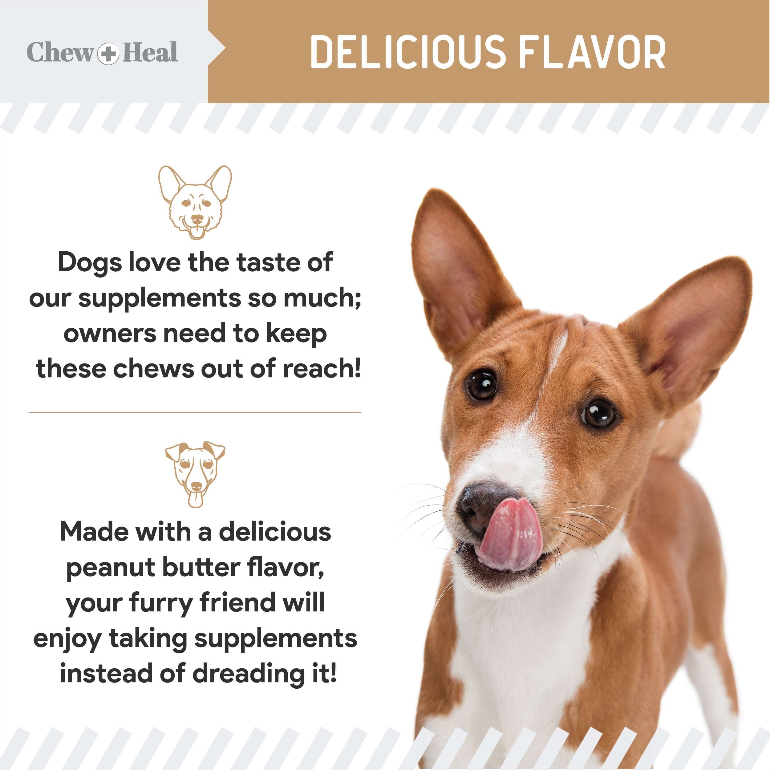 Chew + Heal Glucosamine Hip + Joint Peanut Butter Flavored Soft Chew Joint Supplement for Dogs, 90 count