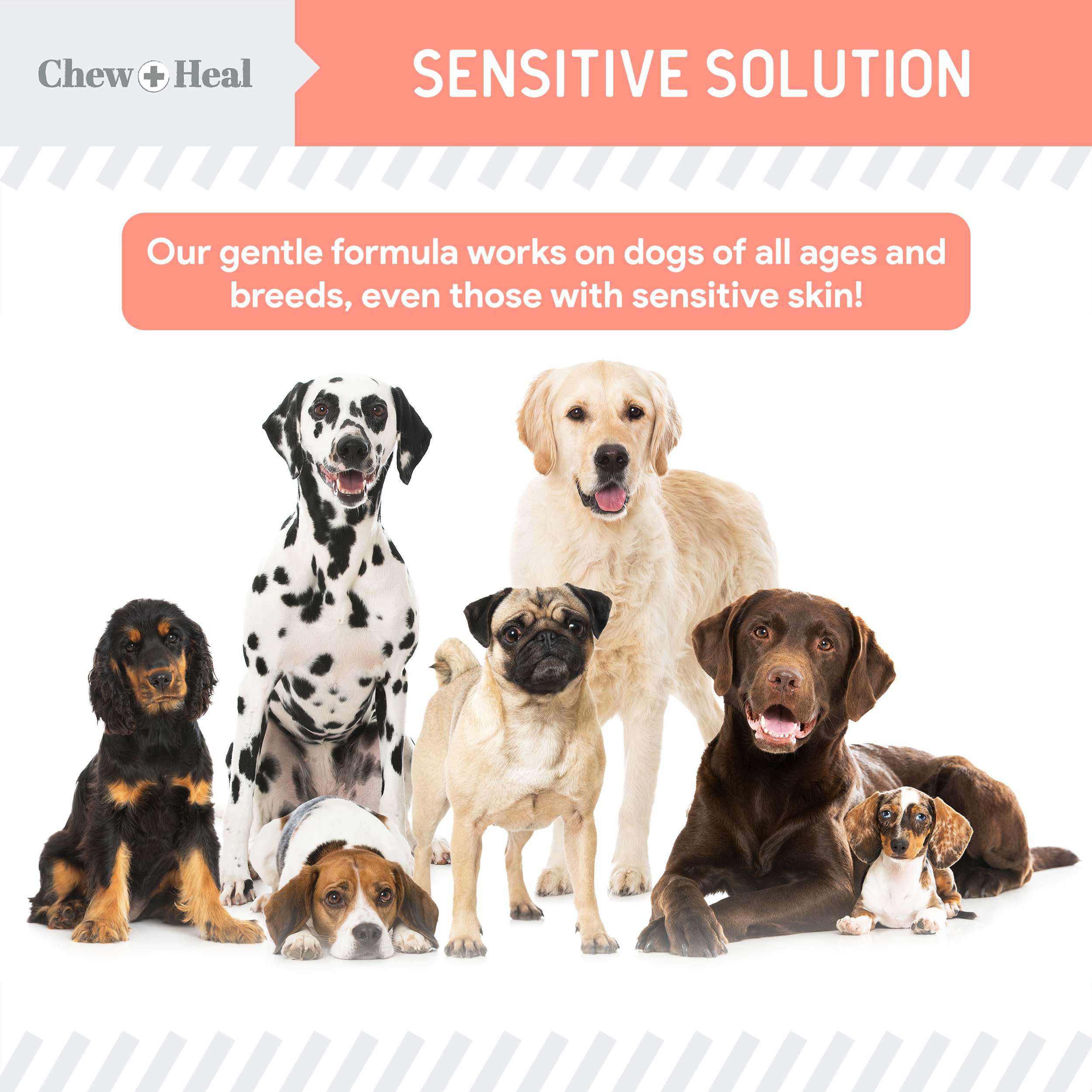 Chew + Heal Natural Hot Spot Relief Topical Liquid for Dogs, 2-fl oz bottle