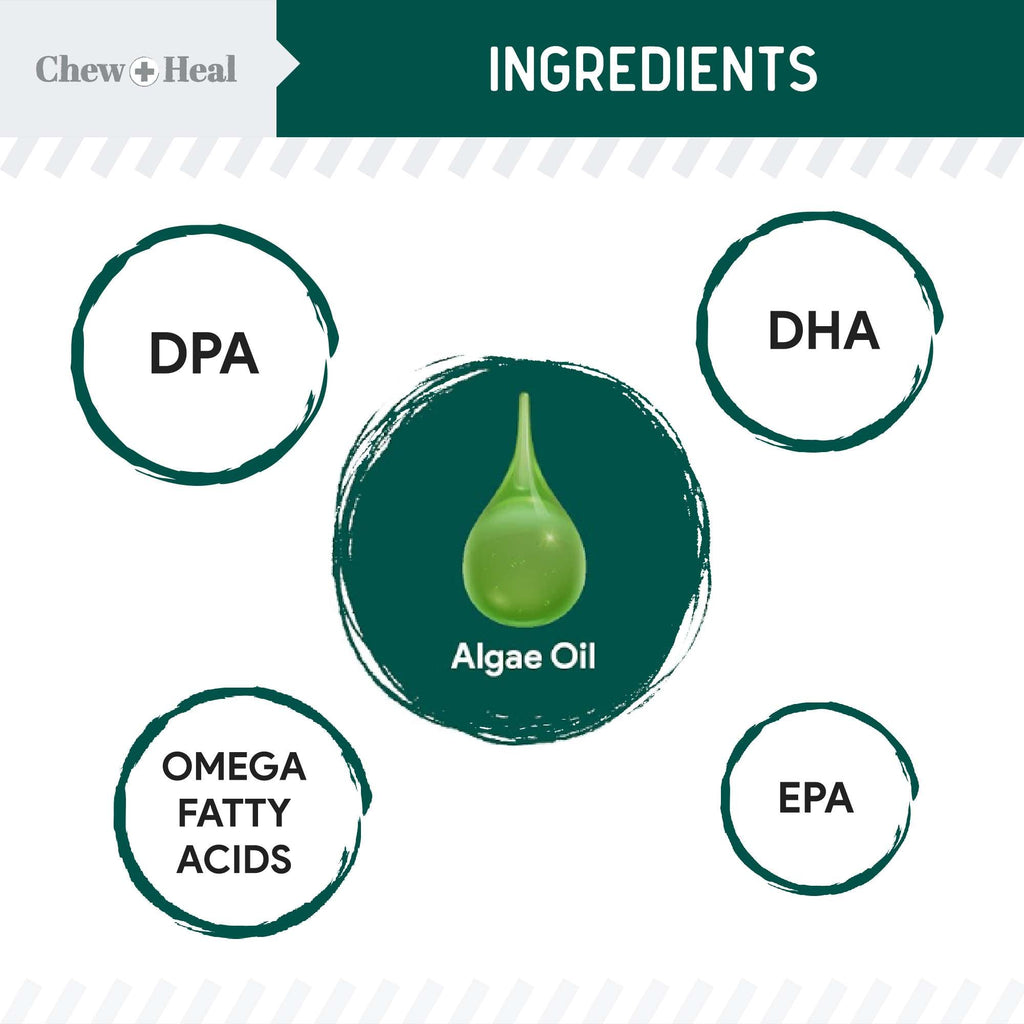 Vegan Single Ingredient EPA & DHA Omega-3 Algae Oil Skin & Coat Supplement for Dogs