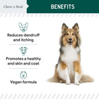 Vegan Single Ingredient EPA & DHA Omega-3 Algae Oil Skin & Coat Supplement for Dogs