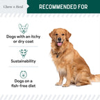 Vegan Single Ingredient EPA & DHA Omega-3 Algae Oil Skin & Coat Supplement for Dogs