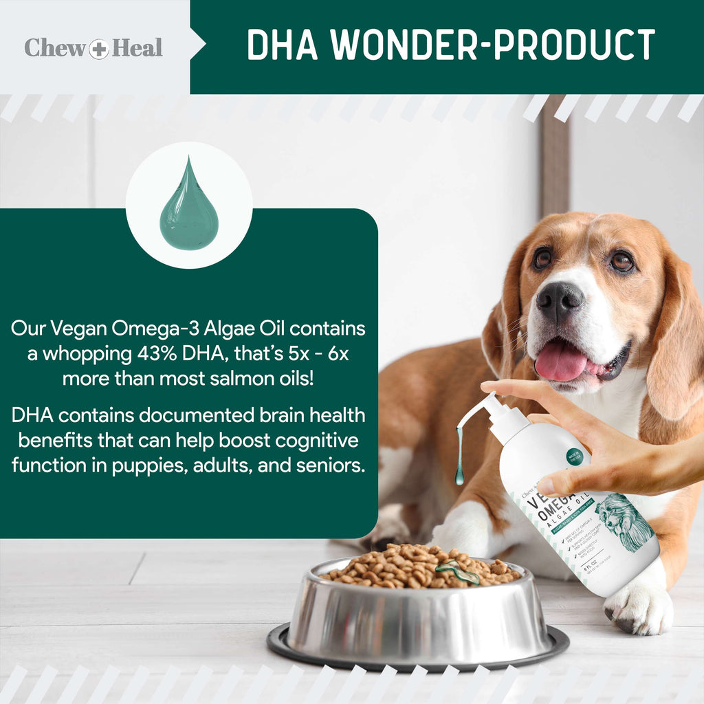 Vegan Single Ingredient EPA & DHA Omega-3 Algae Oil Skin & Coat Supplement for Dogs