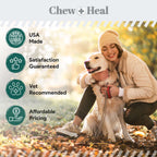 Vegan Single Ingredient EPA & DHA Omega-3 Algae Oil Skin & Coat Supplement for Dogs