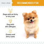 Norwegian Salmon Oil Skin & Coat Supplement for Dogs & Cats