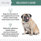 Senior Hip & Joint Dog Supplement