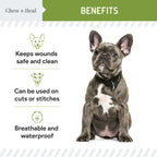 Liquid Bandage for Dogs