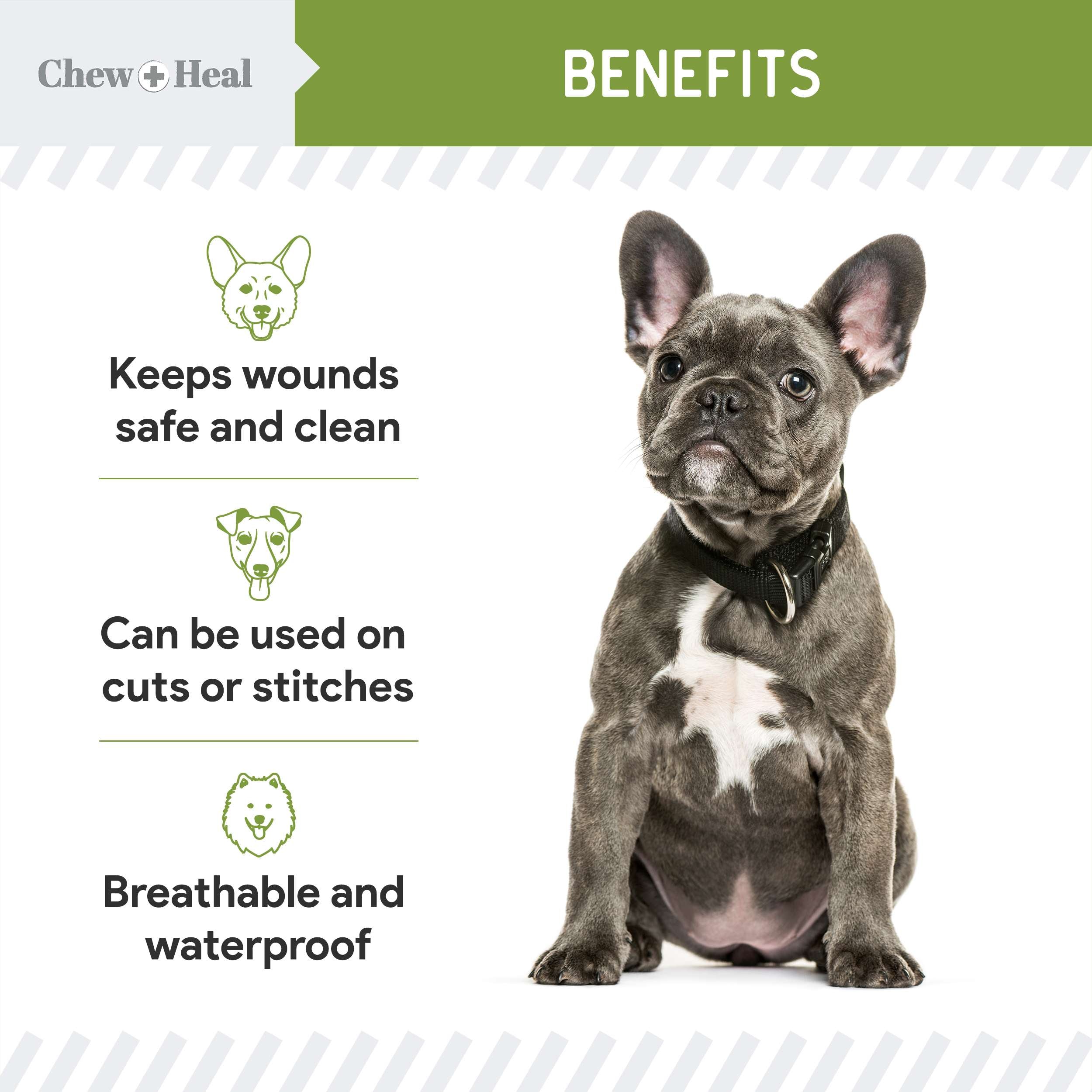 Liquid Bandage for Dogs