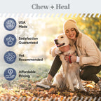 Styptic Powder Dog Treatment