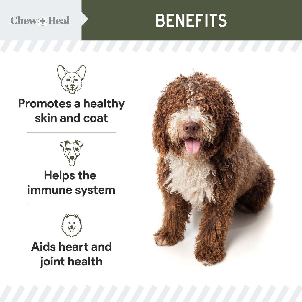 Wild-Caught Cod Liver Oil Salmon Oil Alternative Skin & Coat Liquid Supplement for Dogs