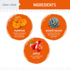 Pumpkin & Prebiotic Fiber Crunchy Biscuit Dog Treats
