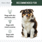 Hydrocortisone Lotion for Dogs