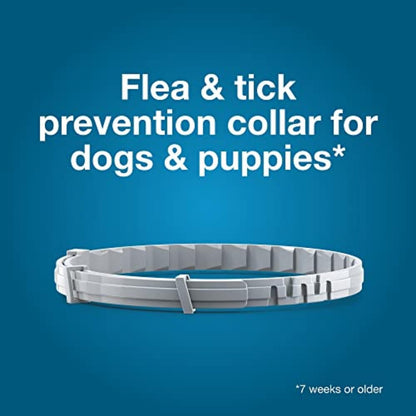 Seresto Large Dog Flea & Tick Treatment & Prevention Collar for Dogs Over 18 lbs.