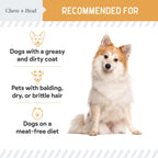 Wild Alaskan Omega Skin + Coat Salmon Soft Jerky Dog Treats