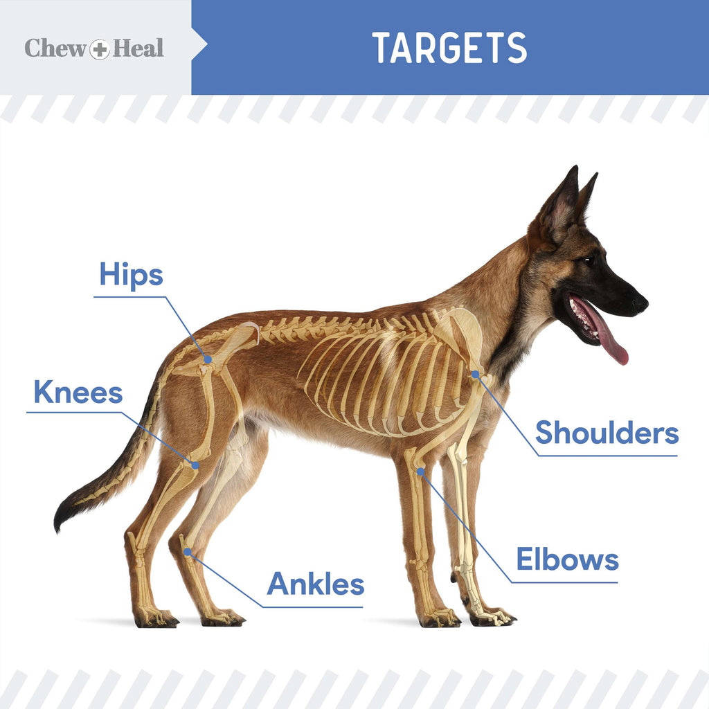 High-Potency Advanced Mobility Support Bacon Flavored Liquid Supplement for Senior Dogs