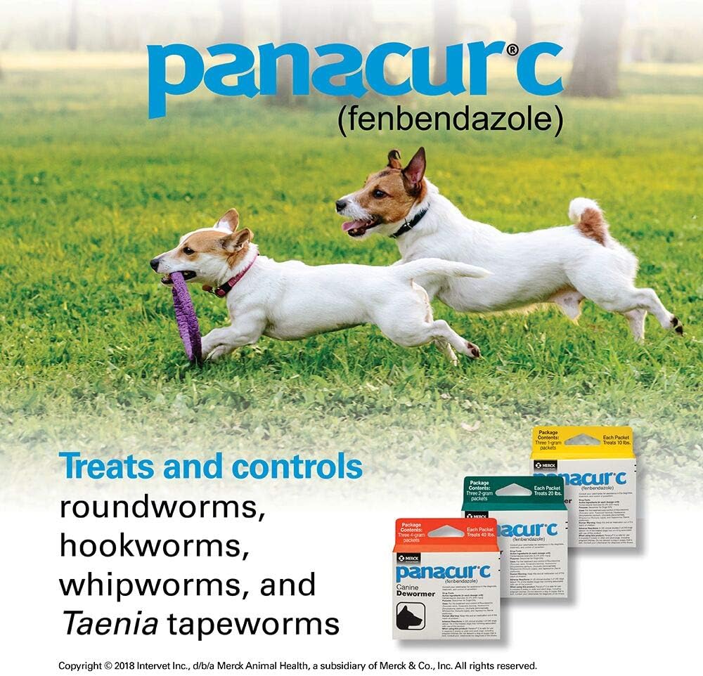 Panacur C Canine Dewormer, 1 Gram, Yellow, 3 Count