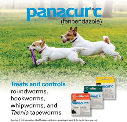 Panacur C Canine Dewormer, 1 Gram, Yellow, 3 Count