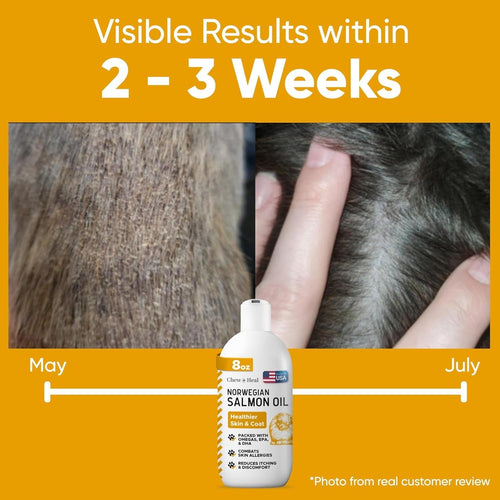 Norwegian Salmon Oil Skin & Coat Supplement for Dogs & Cats