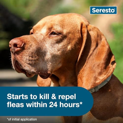 Seresto Large Dog Flea & Tick Treatment & Prevention Collar for Dogs Over 18 lbs.