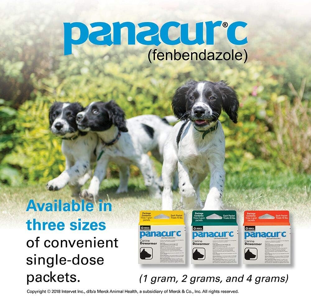 Panacur C Canine Dewormer, 1 Gram, Yellow, 3 Count