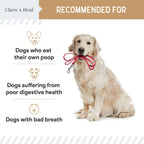 Stop The Poo Peanut Butter Flavored Soft Chew Coprophagia & Digestive Dog Supplement