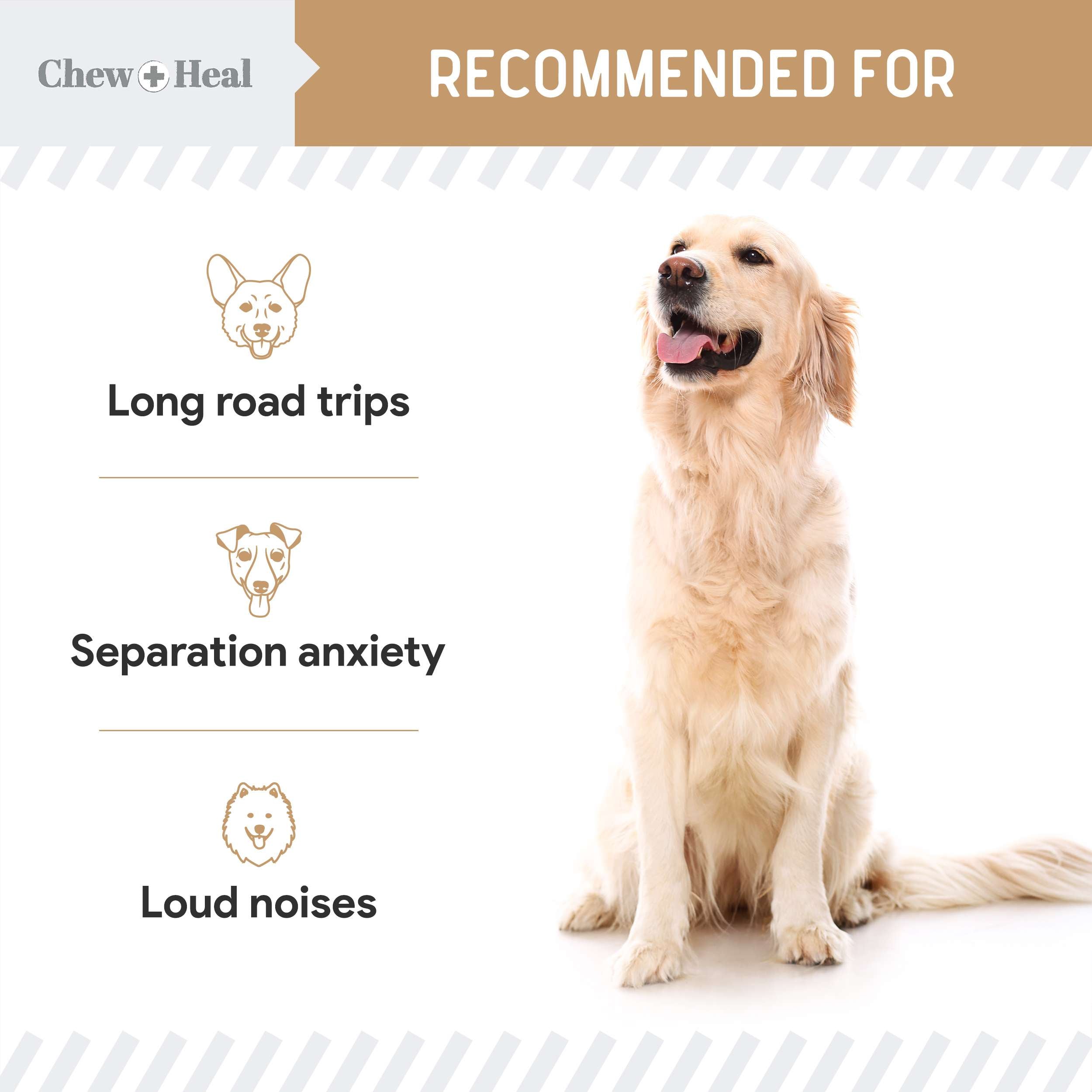 Anxiety + Stress Peanut Butter Flavored Soft Chew Calming Dog Supplement