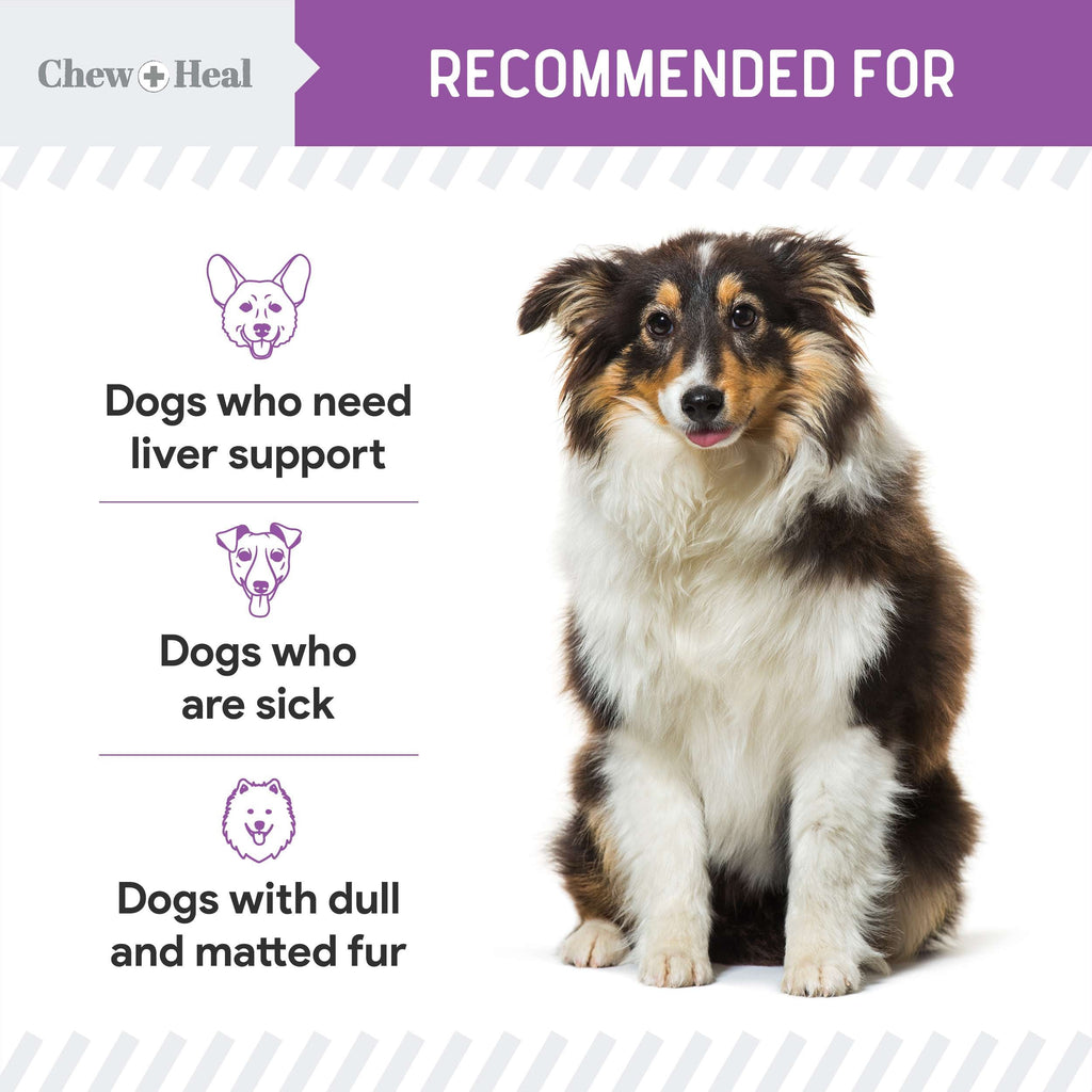 Milk Thistle Tincture with Moringa Oil & Salmon Oil Liquid Kidney & Liver Health Supplement for Dogs