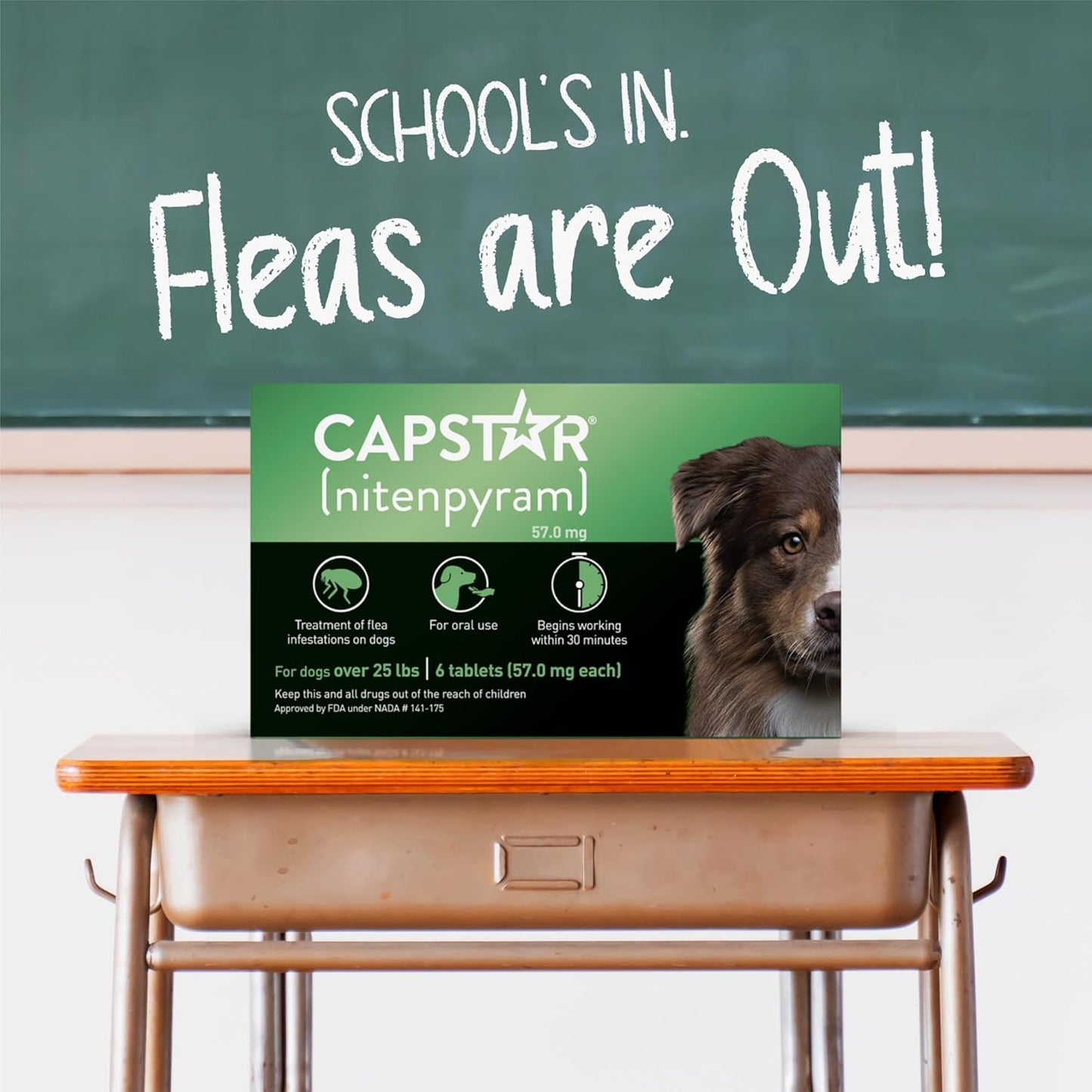 Capstar Oral Flea Treatment for Dogs, Medium & Large Dogs (Over 25 lbs), 6 Doses