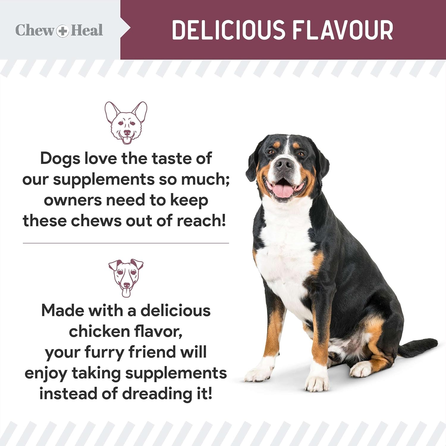 Senior 12-In-1 Advanced Multivitamin Soft Chews Supplement for Senior Dogs