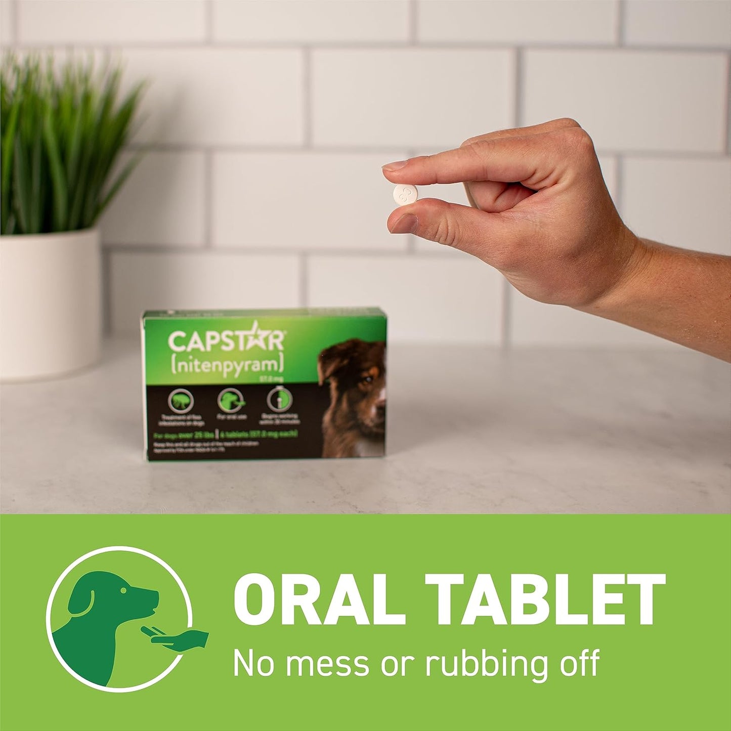 Capstar Oral Flea Treatment for Dogs, Medium & Large Dogs (Over 25 lbs), 6 Doses