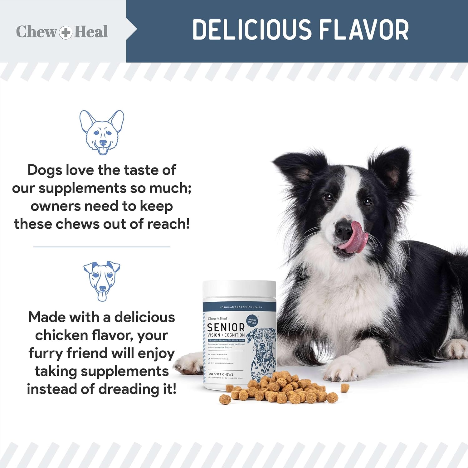 Senior Vision + Cognition Soft Chews Supplement for Senior Dogs