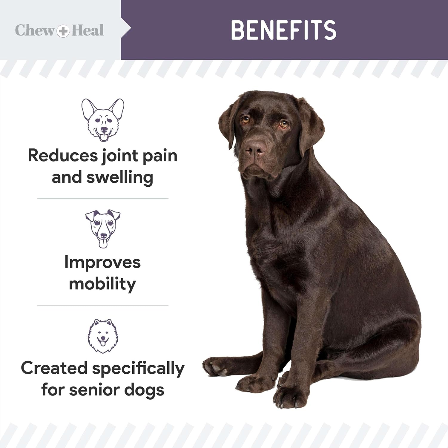 Mobility + Vitality Hip & Joint & Mood Support Chewable Tablets Supplement for Dogs