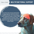 Senior Vision + Cognition Soft Chews Supplement for Senior Dogs