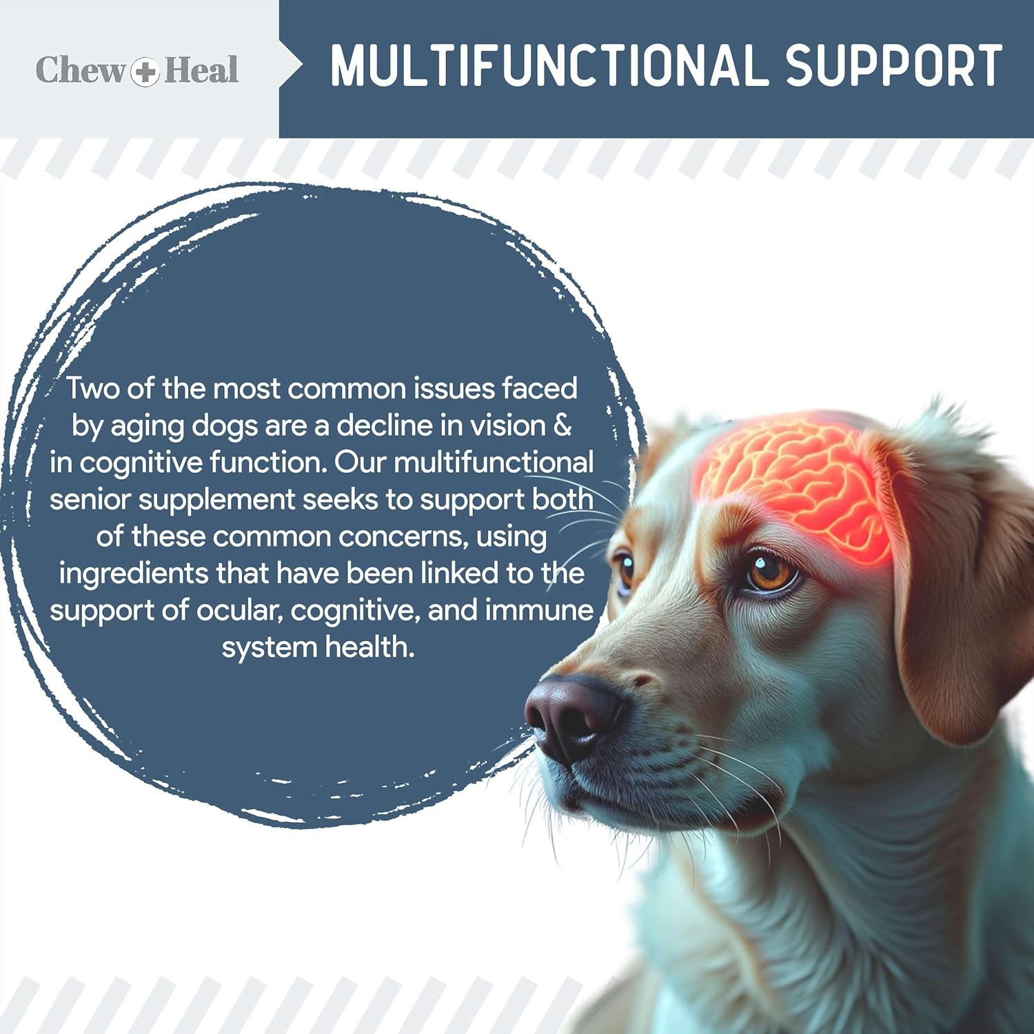 Senior Vision + Cognition Soft Chews Supplement for Senior Dogs