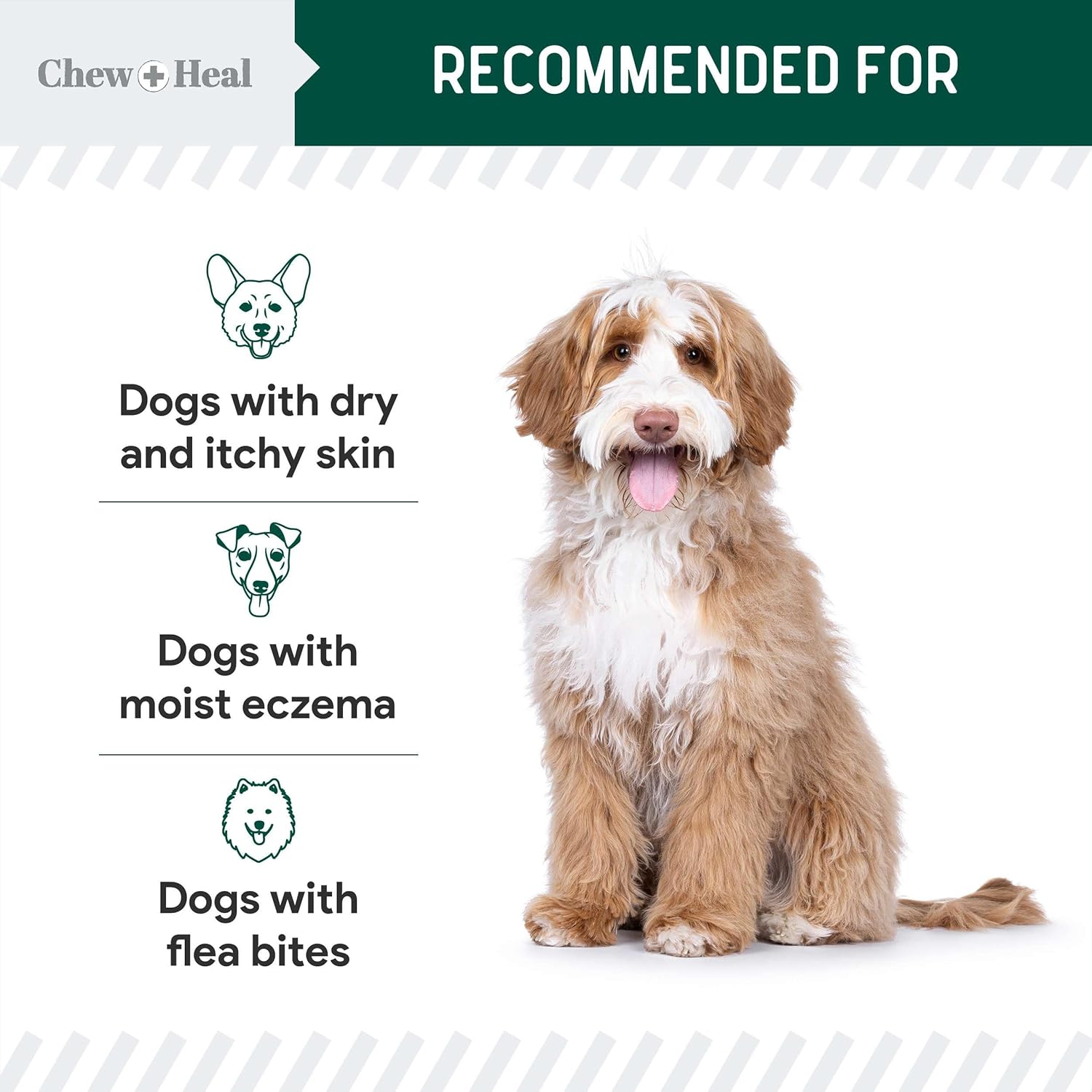 Advanced Hydrocortisone Medicated Wound Care Spray for Dogs