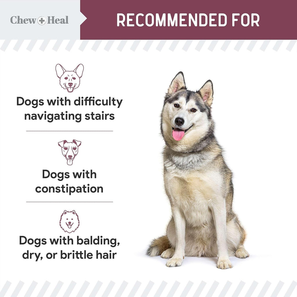 Senior 12-In-1 Advanced Multivitamin Soft Chews Supplement for Senior Dogs