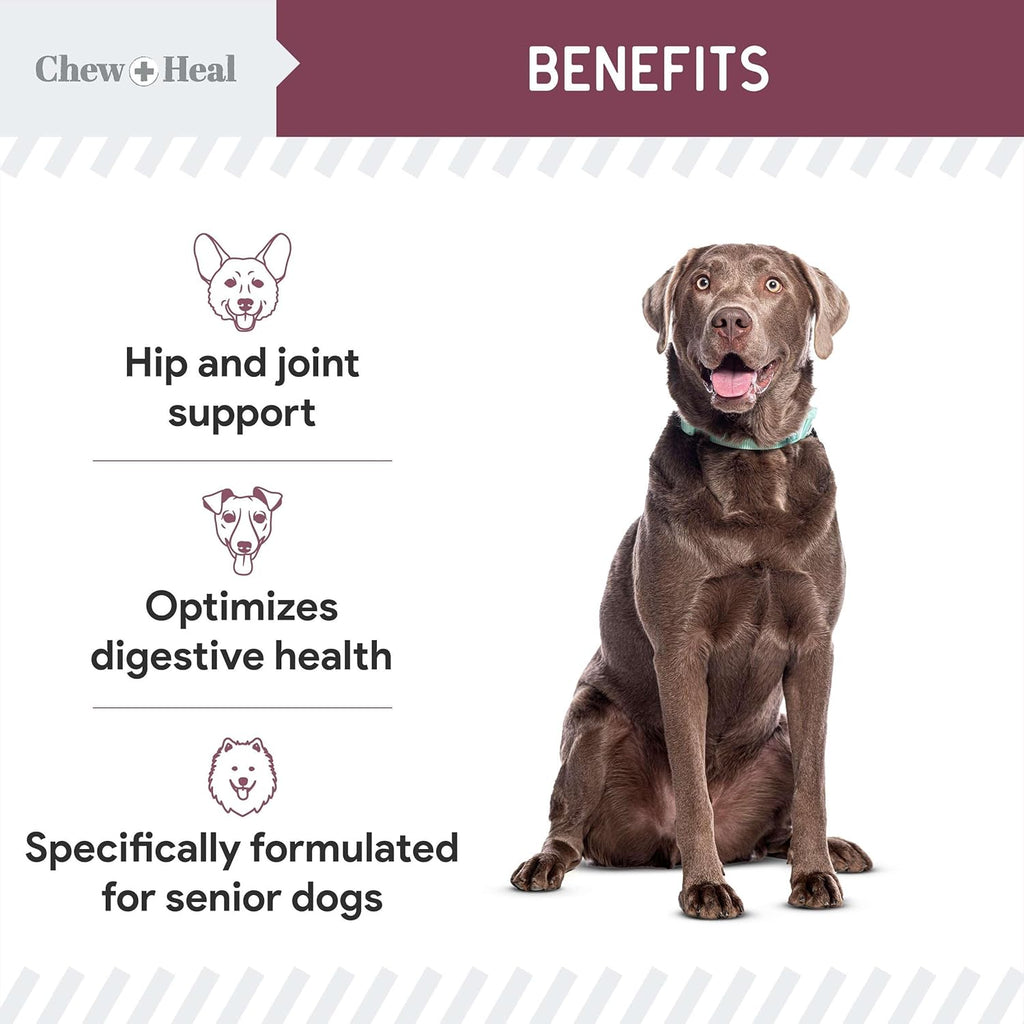 Senior 12-In-1 Advanced Multivitamin Soft Chews Supplement for Senior Dogs