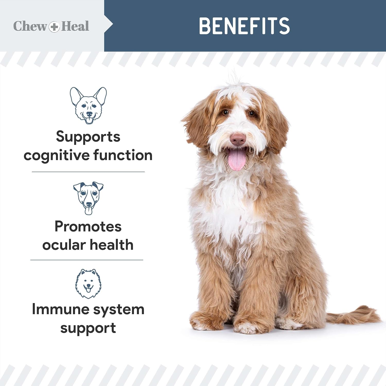 Senior Vision + Cognition Soft Chews Supplement for Senior Dogs