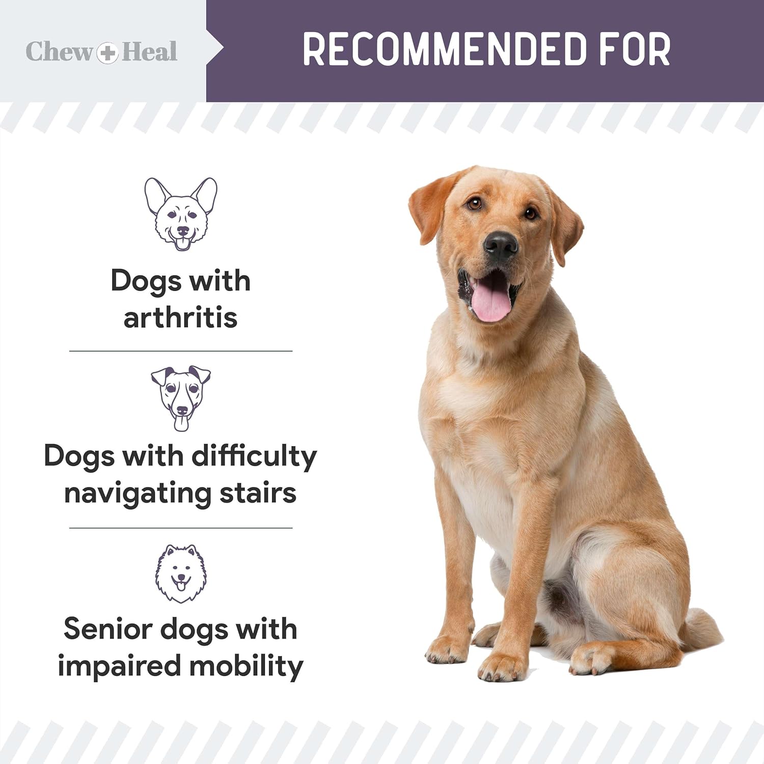 Mobility + Vitality Hip & Joint & Mood Support Chewable Tablets Supplement for Dogs